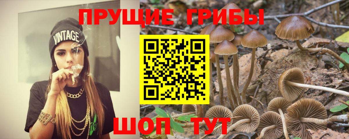 Михайловск  Псилоцибиновые грибы мухоморы  Галлюциногенные грибы GOLDEN TEACHER  купить  цена  Вход с VPN 
